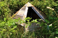 Ovci-studanka-v-Divoke-Sarce