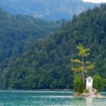 Prázdninová fotografie: S poděkováním volovi i Bohu