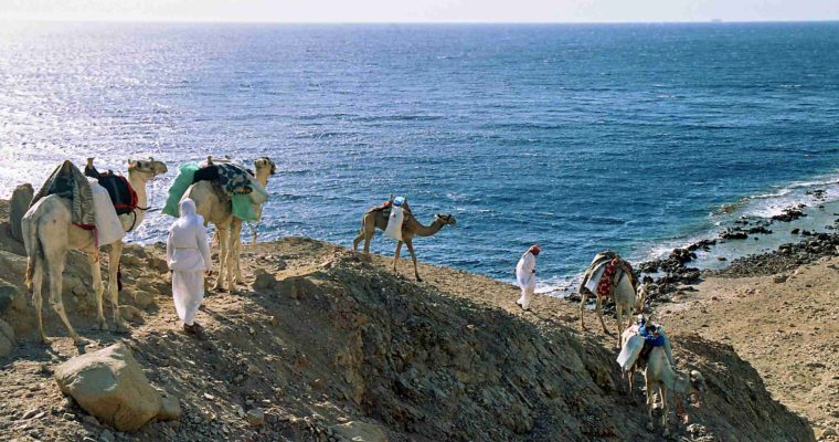 Pět knih poutníka Mojžíše pohledem cestovatele Pět knih poutníka Mojžíše pohledem cestovatele