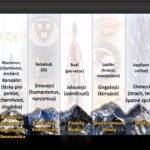 Čeští a slovenští křesťané dobývají sedm vrcholů