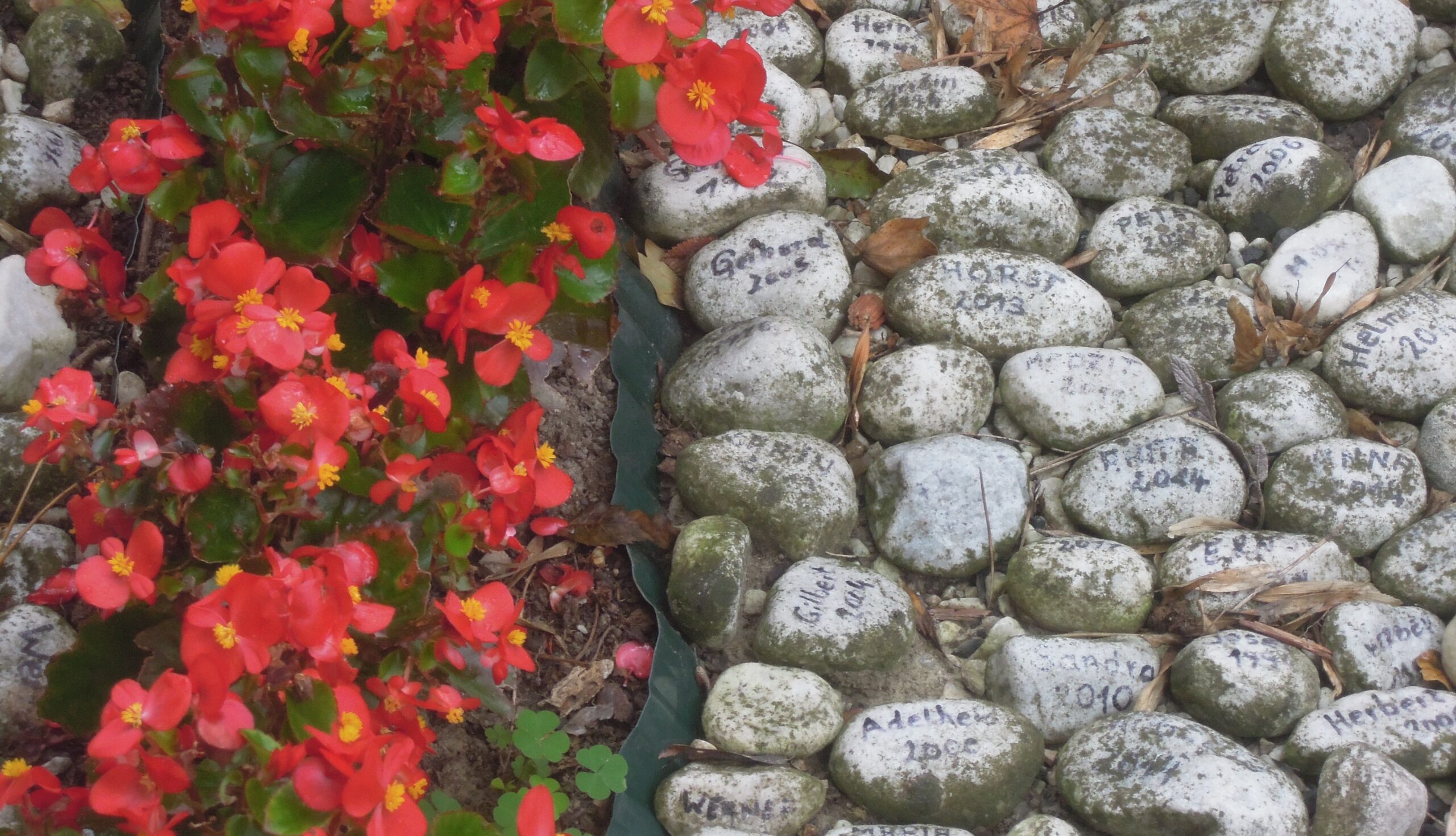 Náboženství na cestách: vídeňský památník zemřelých na AIDS Náboženství na cestách: vídeňský památník zemřelých na AIDS