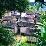 Náboženství pygmejů Mbuti