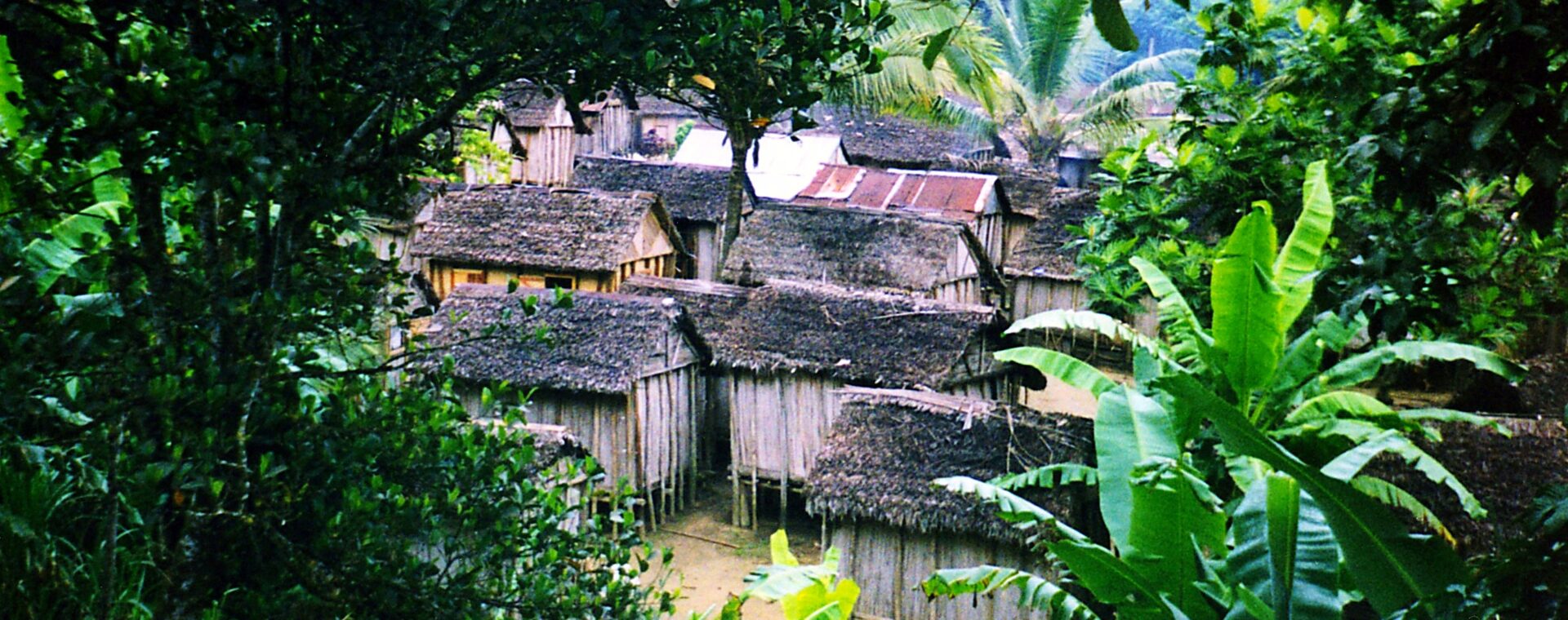 Náboženství pygmejů Mbuti