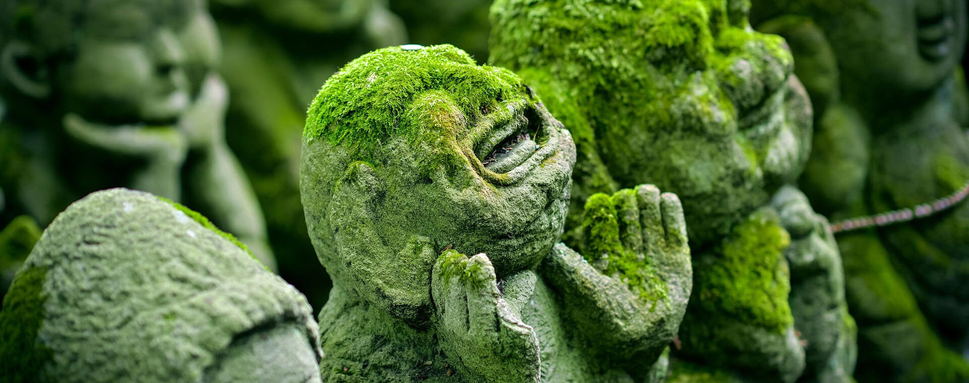 Křišťálově jasné paradoxy Křišťálově jasné paradoxy