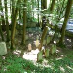 Náboženství na cestách: Přijata do domu krále