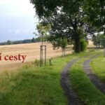 Moje „nevím“ je posun k větší zralosti