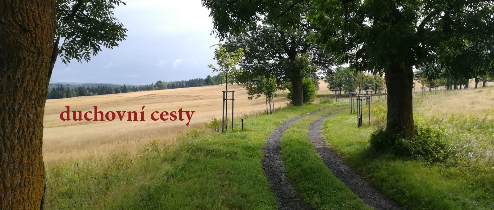 Moje „nevím“ je posun k větší zralosti