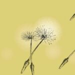 Všímavost a Já: Od sebeléčení k sebepřesahování