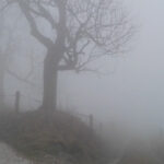 Cesta odpadlíka k založení terapeutické skupiny