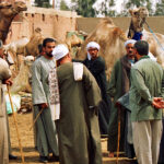 Pohřební rituály a lidské oběti ve starobylém kartaginském náboženství