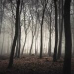 Religiozita v románech Kateřiny Surmanové