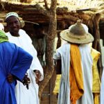 Bori – vstupování duchů do západoafrických Hausů