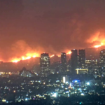 Sovy nejsou tím, čím se zdají být: spiritualita Davida Lynche