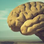 Jak se stát nikým: Probuzení pro skeptiky