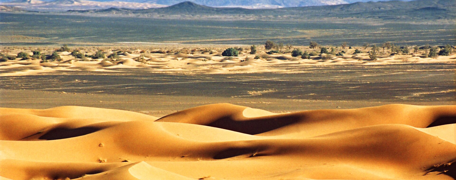 Súfismus v Alžírsku – extatické bytí u Boha kontrastující se suchou vzdělanostní salafizovanou gnozeologií 2/2 Súfismus v Alžírsku – extatické bytí u Boha kontrastující se suchou vzdělanostní salafizovanou gnozeologií 2/2