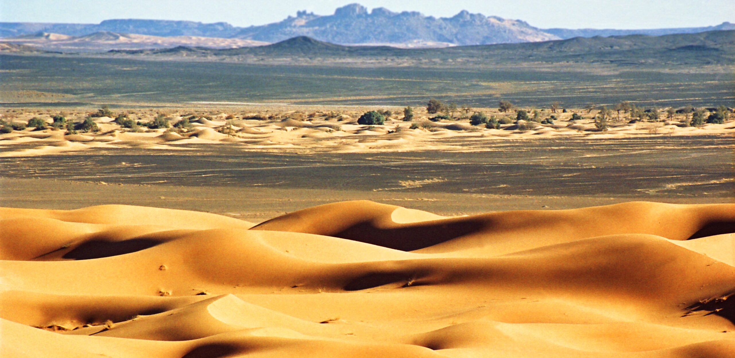 Súfismus v Alžírsku – extatické bytí u Boha kontrastující se suchou vzdělanostní salafizovanou gnozeologií 2/2 Súfismus v Alžírsku – extatické bytí u Boha kontrastující se suchou vzdělanostní salafizovanou gnozeologií 2/2